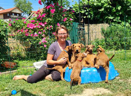 Gleann Solva, Irish Terrier, Österreich