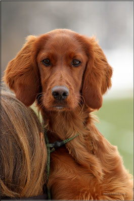 Annie, 6 Monate