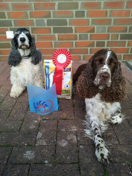 Holly and Jule after their successful Rally-Obedience-Competition this weekend. Photo: Svenja Arendt