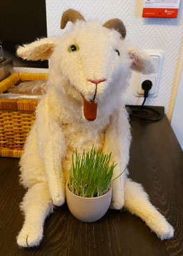 Sissi_Influencerin_bei Gabriele_im Katzengras