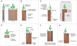 Rhizobox,  Root box, root imaging boxes, root growth chamber, rhizosphere study