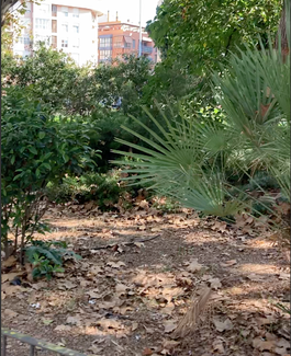 Jardines de Valencia