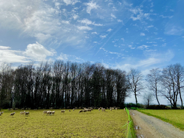 フランス人の家でフランス生活体験　思い出に残る卒業旅行を、お友達との参加も可能です！　