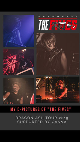 DJ BOTS My 5 Pictures
