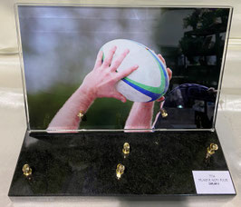 Rugby 6 -208 €