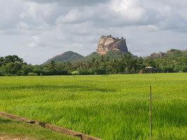 srilanka-adventure ( TOURS & TRAVELS ).
