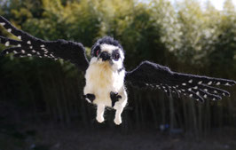 幻獣 グリフォン 羊毛フェルト グリにゃん