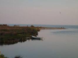 endlich am griechischen Meer