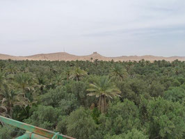 Palmyra, die Wüstenoase in Syrien