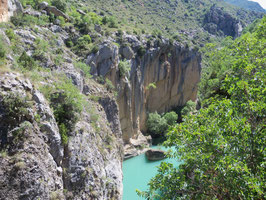 Schlucht des Rio Esera