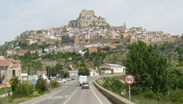 Morella