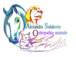 Site de osteopathieanimaleaso !