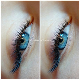 Wimpern & Brows - dicht, schön und perfekt 