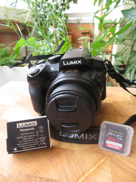 Bridgekamera Panasonic Lumix FZ300 mit Akku und SanDisk Speicherkarte