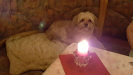 Peggy feiert Geburtstag:)