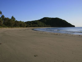 Das Cape Tribulation