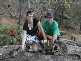 Rockwallabies an Granit Gorge