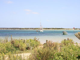 Die Muselroe Bay in Nord-Ost Tasmanien