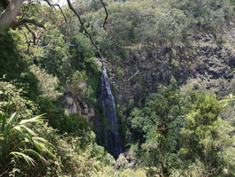 Wasserfall im Lamington