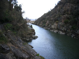 Schlucht in Launceston