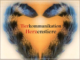 Tierkommunikation in Salzgitter, Gespräche mit Tieren, Braunschweig, Hildesheim, Hannover, Wolfenbüttel, Wolfsburg, Goslar, Harz, Peine. Tiere verstehen.