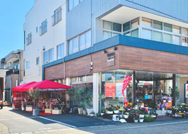 福井県鯖江市花ひろ本店