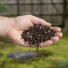 Hand hält Bonsai Erde 
