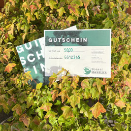 Gutscheine zum Bestellen