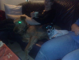Gordo und ich
