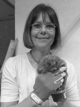 Martina Schubert mit Igel in der Wildtierhilfe Wien