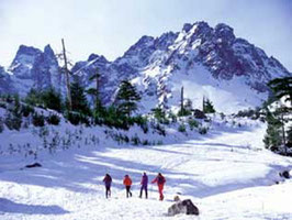 Ski Alpin (cliquer sur la photo)