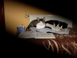 Jimmy und Maunz