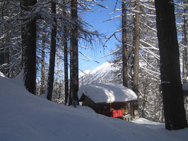 Prasüras in St.Moritz