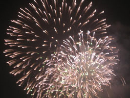 Nachtblumen in St.Moritz "Bund di - bun an 2010*