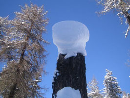 Väterchen Frost mit Zylinder