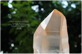 レムリアンシード/レムリアンシードクリスタル原石とナチュラルワンド