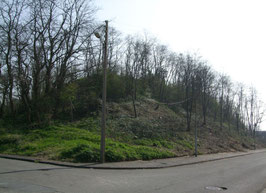 Denain