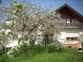 ferienwohnung-hessen-wetzlars Webseite!