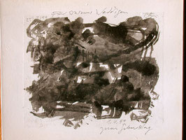 Harald Naegeli, Widmung 1994