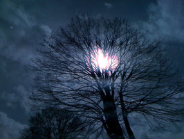 la nuit