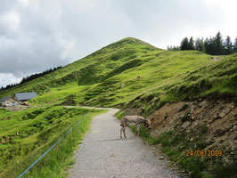 Hohe Kugel
