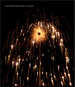 Feuerwerk Hannover