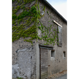 Domaine de la Pépière, situé à Maisdon sur Sèvre en Loire Atlantique près de la Vendée et du Maine et Loire dans le vignoble français produit du muscadet en cépage Melon de Bourgogne idéal à boire avec des fruits de mer, des huitres, des moules.