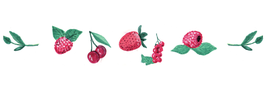 Framboiseraie ballaison fruits