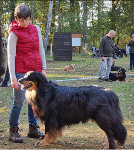 Lucy Lectric von der Diamandenen Aue