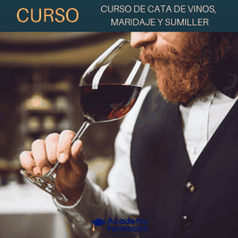 cursos de cata de vinos maridaje y sumiller