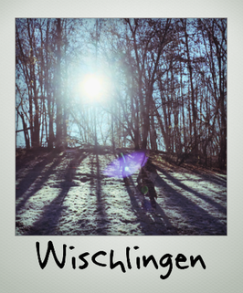 Wischlingen