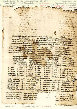 Hexapla, Origen, Bible, Hebrew, Greek