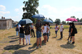 Foto: H. Schütt