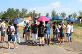Foto: H. Schütt